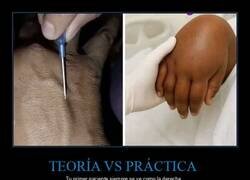 Enlace a Del manual a la realidad