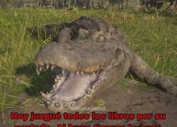 Enlace a Desafiando a todos los refranes
