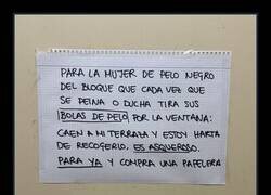 Enlace a Pelo vengador