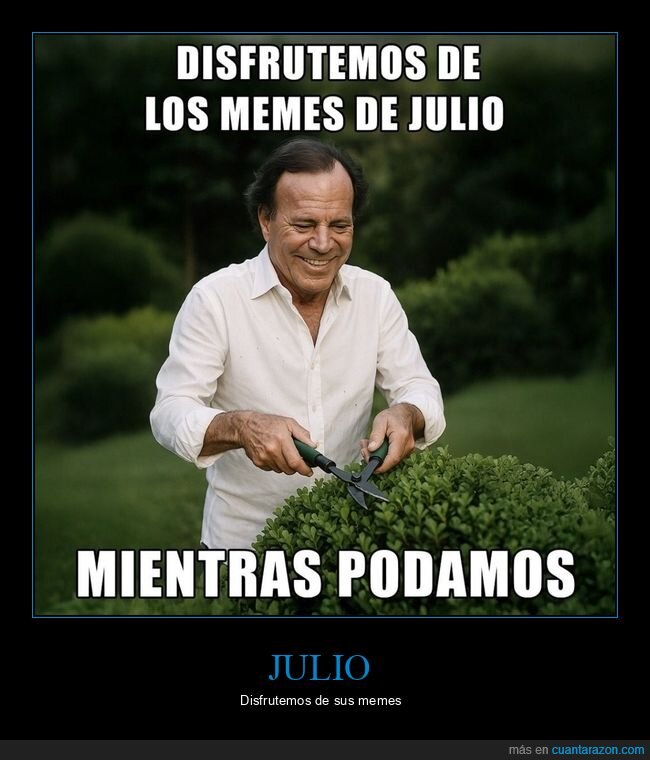 Julio,calor,memes,verano,procrastinaci&oacute;n