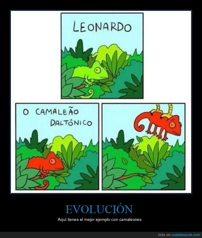evoluci&oacute;n,camale&oacute;n,naturaleza,cambio,fracaso