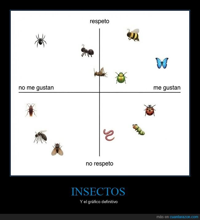 insectos,respeto,preferencias,naturaleza,cucarachas