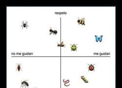 Enlace a Cucaracha, ni te queremos ni te respetamos