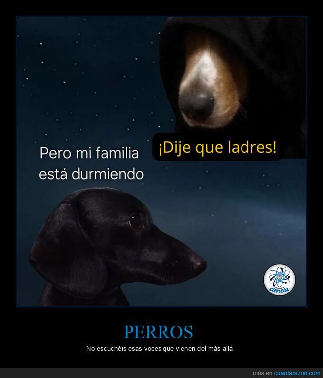 ladrones,familia,disculpas,noche,perro
