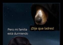 Enlace a Claro, culpame a mí