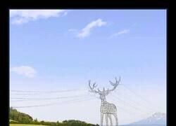 Enlace a La naturaleza está salvada