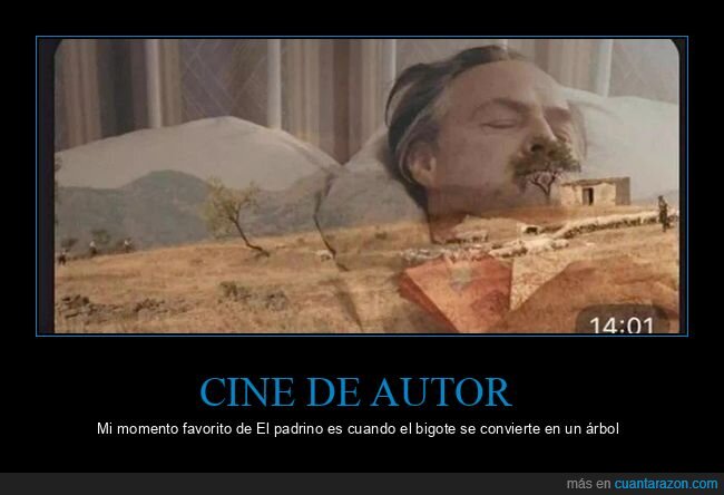 Godfather,cine,cr&iacute;tica,absurdo,interpretaci&oacute;n