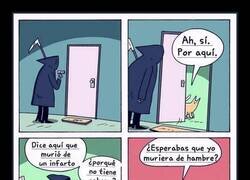 Enlace a El gato tiene razón