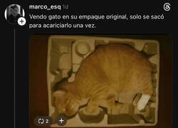 Enlace a Cuando el envase es mejor que el producto