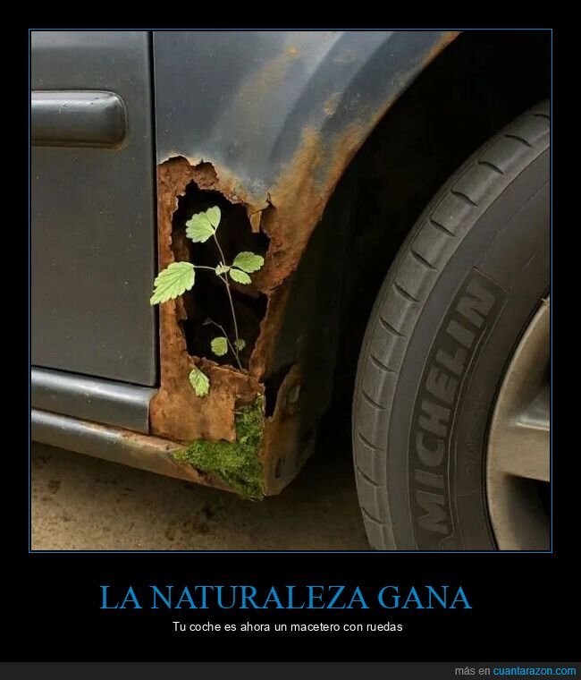 oxidaci&oacute;n,naturaleza,coche,ruina,resiliencia