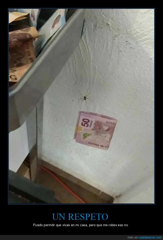 robo,confianza,dinero,vigilancia,casa