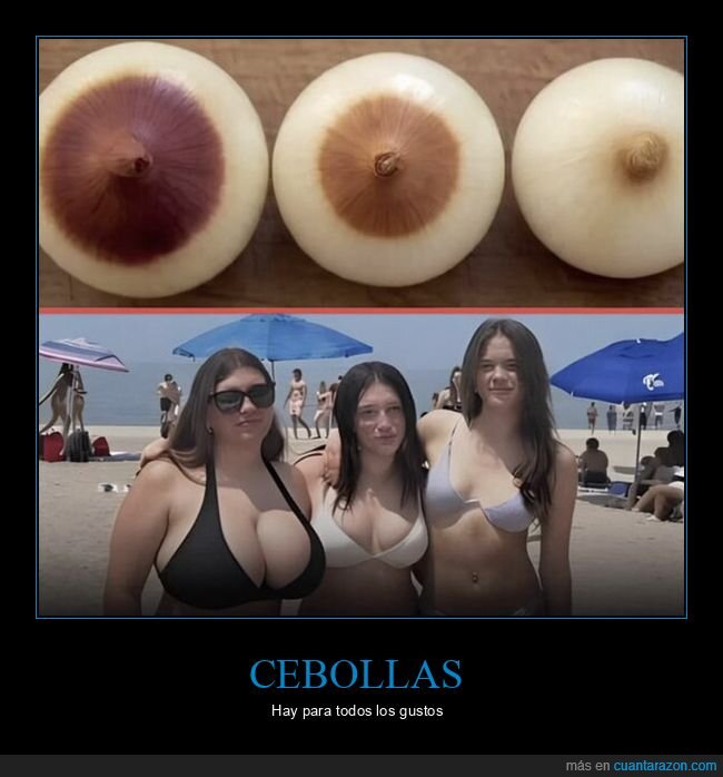 playa,cebolla,confusi&oacute;n,verano,desprop&oacute;sito