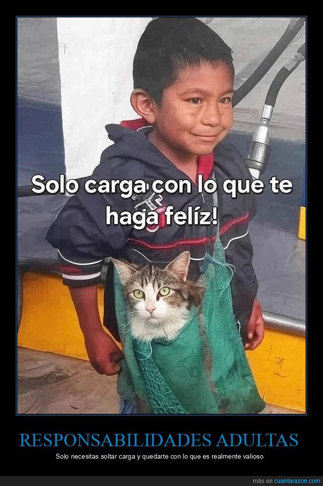 mascota,responsabilidad,infancia,realidad,crecimiento