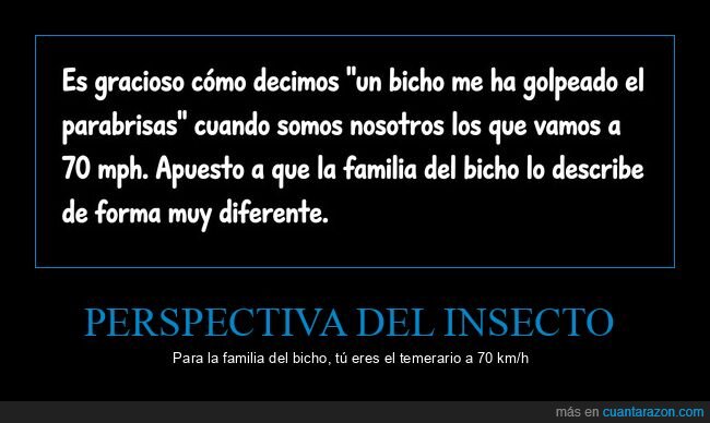 perspectiva,insecto,velocidad,relatividad,punto de vista