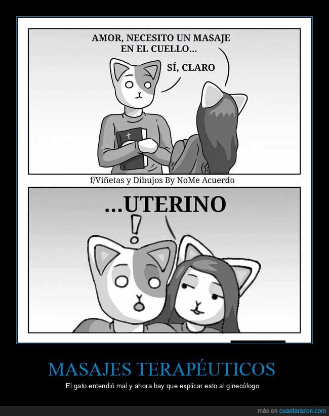gatos,malentendidos,veterinario,parejas,desastre