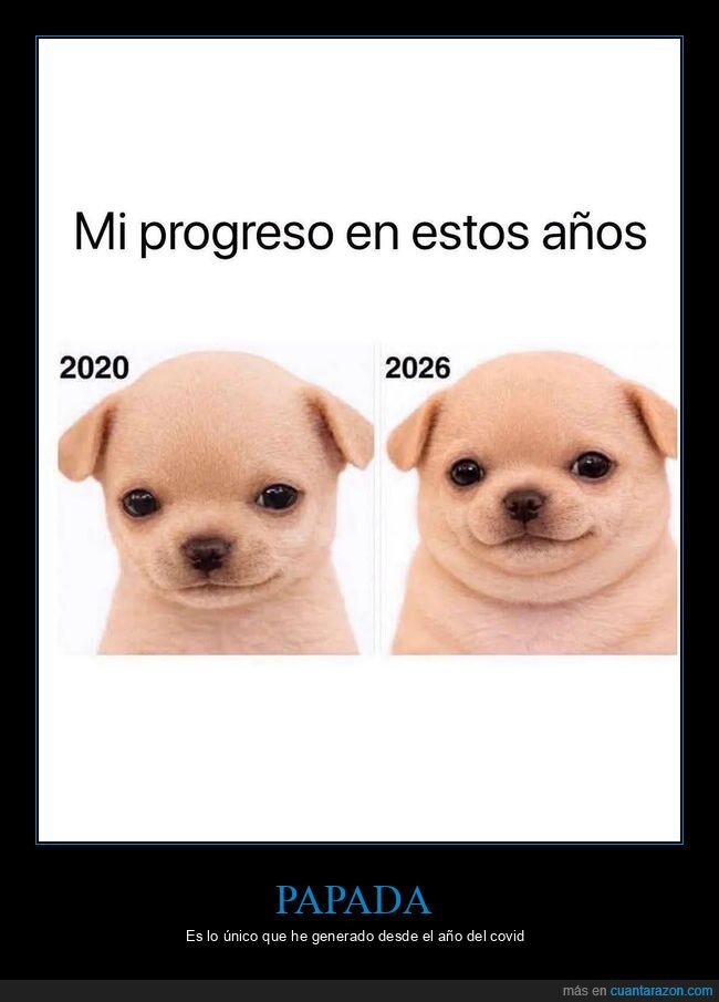 progreso,transformaci&oacute;n,a&ntilde;os,perro,sonrisa
