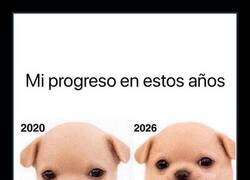 Enlace a Dicen que sigo siendo cute