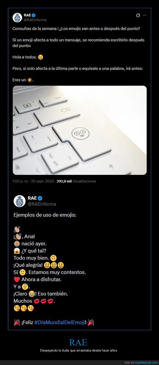 RAE,emojis,ortograf&iacute;a,puntuaci&oacute;n,redes sociales