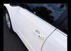 Enlace a Huevo de lujo para el coche