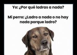 Enlace a Existe porque ladra