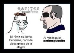 Enlace a Mi gata tiene nombre de diosa griega y yo sigo siendo un fracaso
