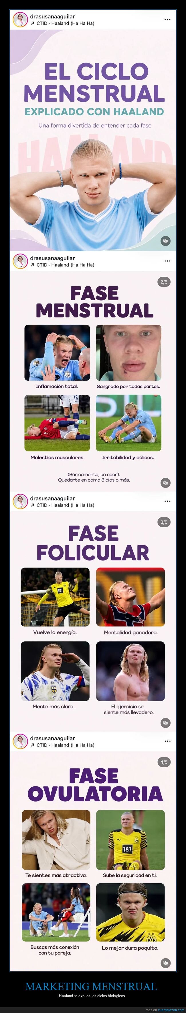 Marketing,Ciclo,Haaland,Educaci&oacute;n,Viral