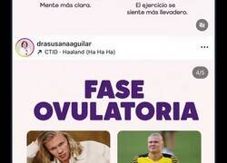 Enlace a Usar a Haaland para que los hombres entiendan bien el ciclo menstrual es de genios