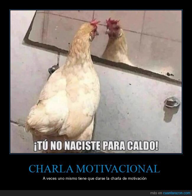 autoestima,fracaso,motivaci&oacute;n,realidad,pollo