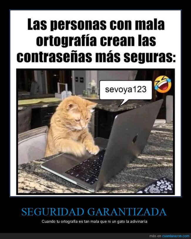 contrase&ntilde;as,seguridad,gatos,ortograf&iacute;a,internet
