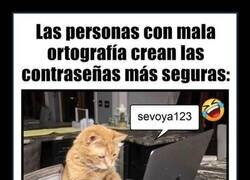Enlace a Protección inculta