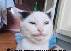 Enlace a La estrategia financiera que tengo que seguir este verano