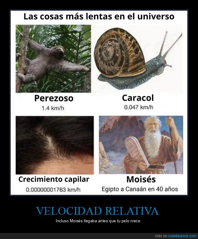 lentitud,comparaci&oacute;n,absurdo,velocidad,fracaso