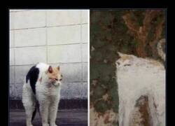 Enlace a Tu gato es literal una obra de arte antigua