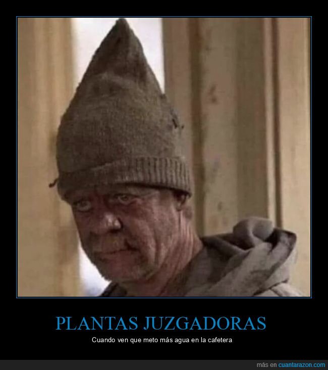 plantas,caf&eacute;,desastre,negligencia,hogar
