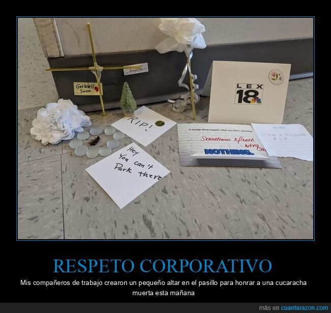 oficina,cucaracha,funeral,compa&ntilde;erismo,desolaci&oacute;n