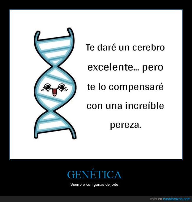 cerebro,pereza,compensaci&oacute;n,genio,autodestucci&oacute;n