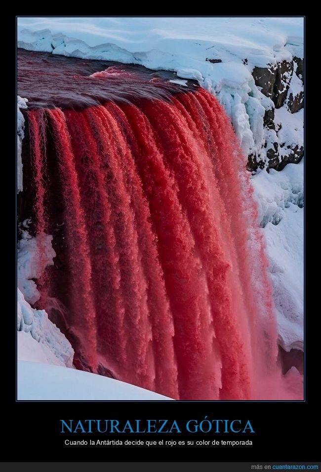 glaciar,Ant&aacute;rtida,naturaleza,cat&aacute;strofe,sangre