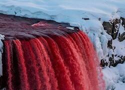 Enlace a Las cataratas de Sangre es el flujo de óxido de hierro situado en la Lengua glaciar,​ en el valle Taylor, en la Antártida