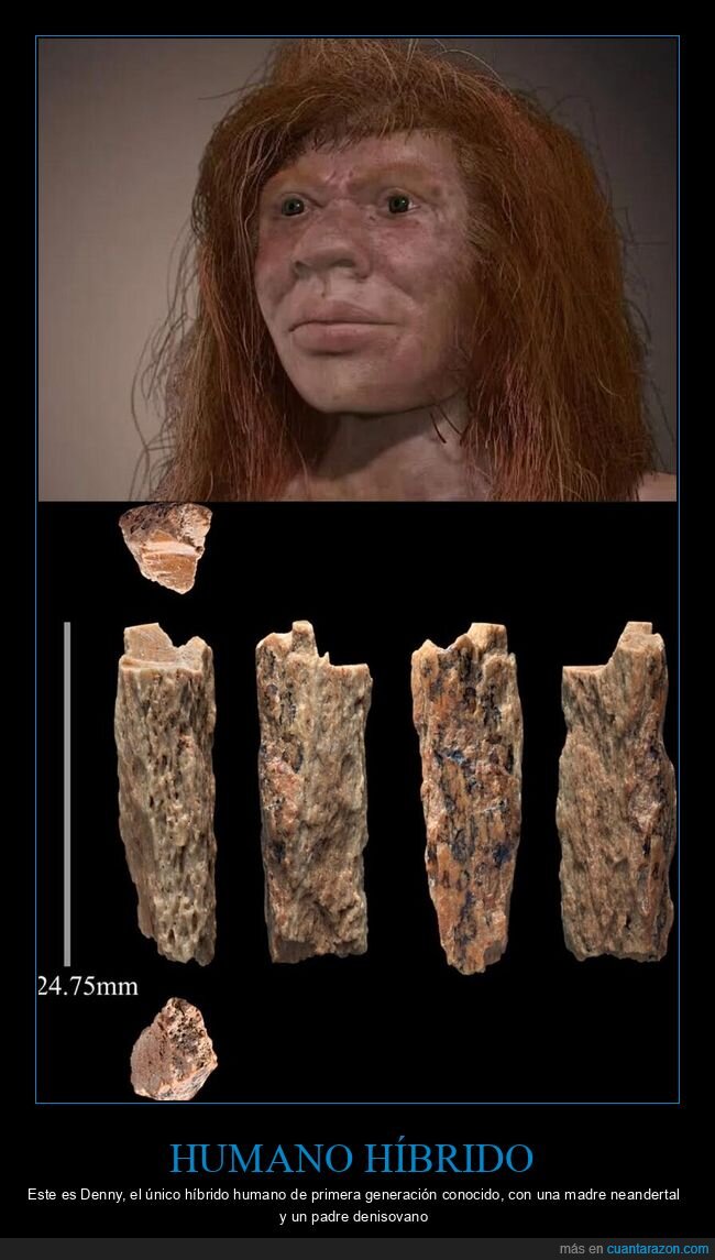 Evoluci&oacute;n,H&iacute;brido,Antropolog&iacute;a,Ancestros,Ciencia