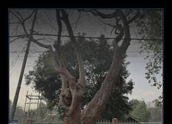 Enlace a Este arte callejero en la India es impresionante