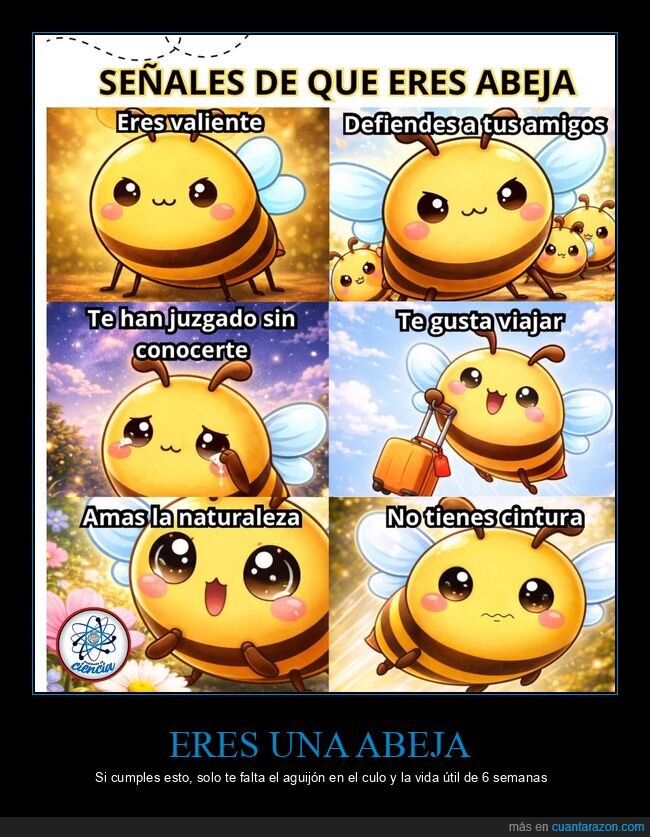 abeja,identidad,naturaleza,cintura,viajes