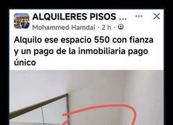 Enlace a Yo me lo creo