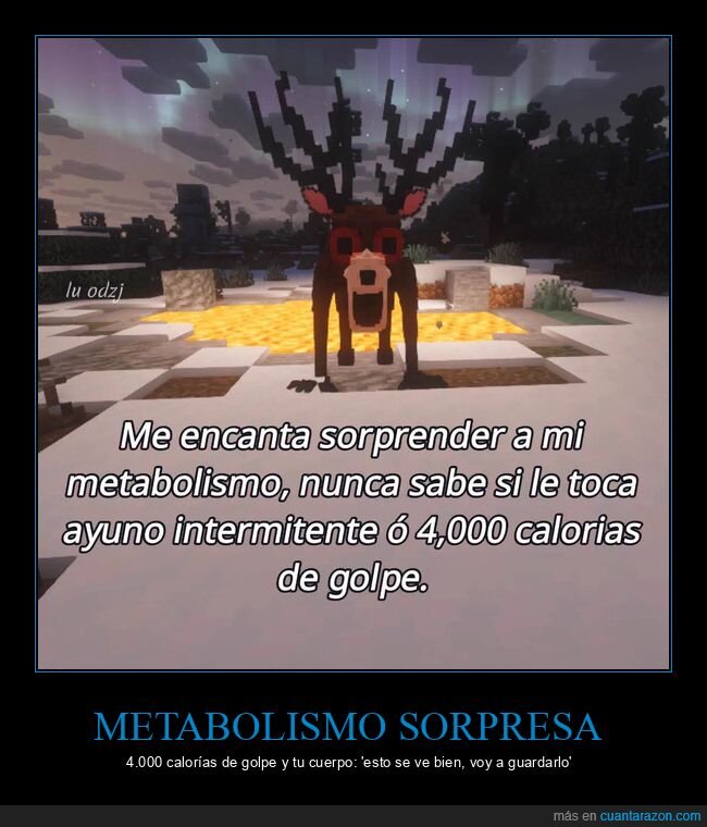 metabolismo,calor&iacute;as,dieta,fitness,Minecraft