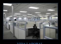 Enlace a Tu vida en cubículos y fluorescentes