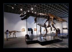 Enlace a El esqueleto de este Tiranosaurio Rex de 67 millones de años, apodado 