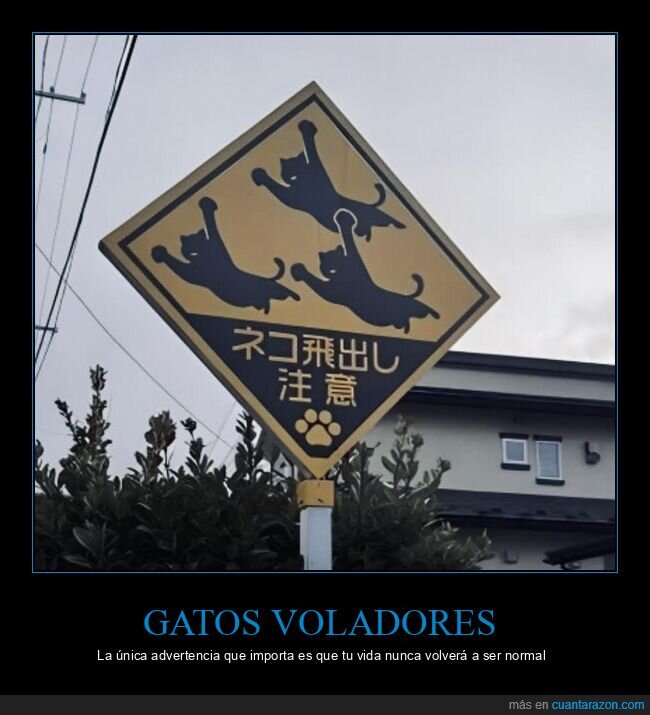 gatos,peligro,absurdo,se&ntilde;ales,Jap&oacute;n