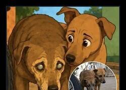 Enlace a Canica, el perro ciego