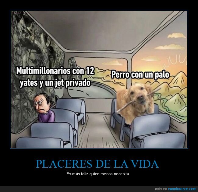 riqueza,perro,felicidad,contraste,materialismo