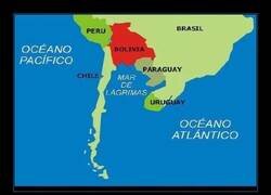 Enlace a Argentina, mar de lágrimas