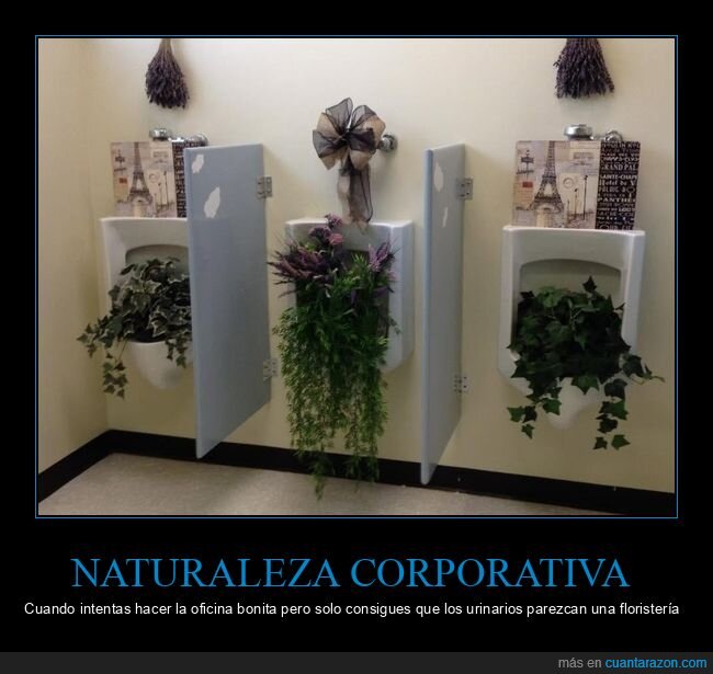 urinario,oficina,plantas